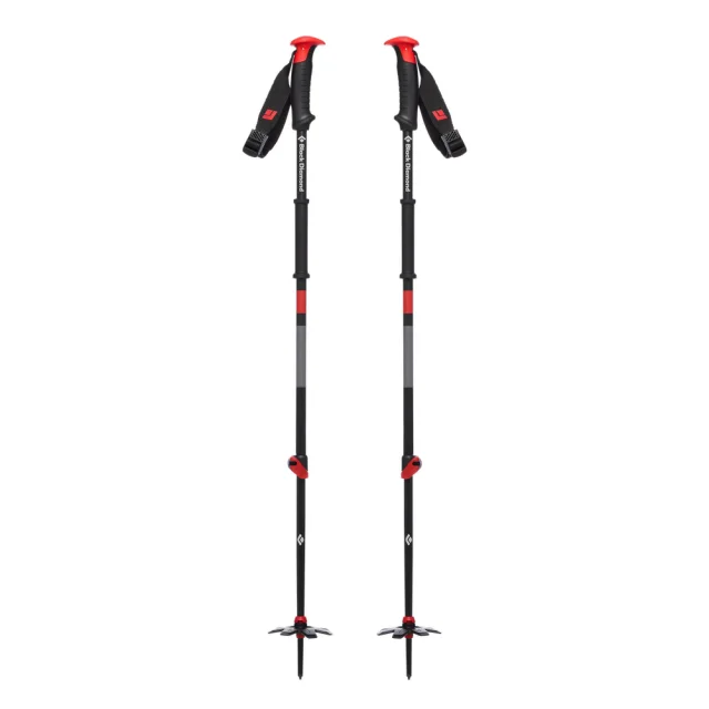 Traverse Ski Poles