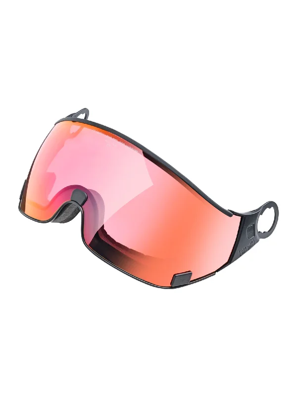 DL Vario Polarized Visor