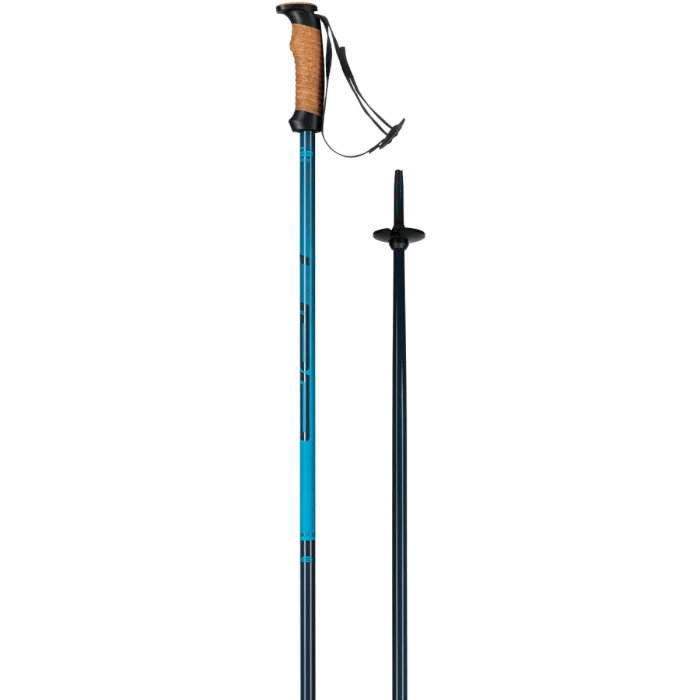 Elan SpeedRod Resort Ski Poles Blue