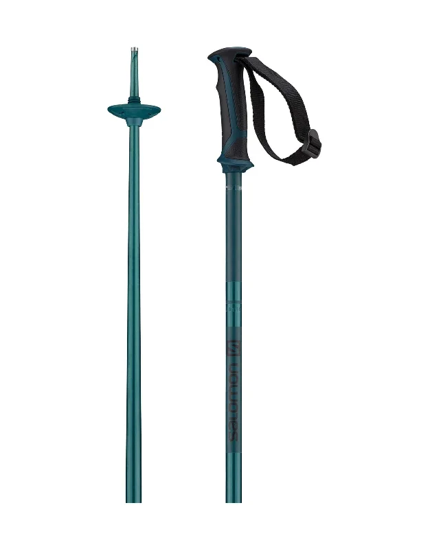 Salomon Arctic Ski Poles