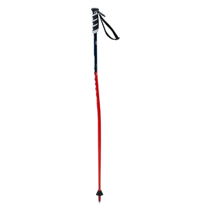 Swix WC Jr SG Ski Poles