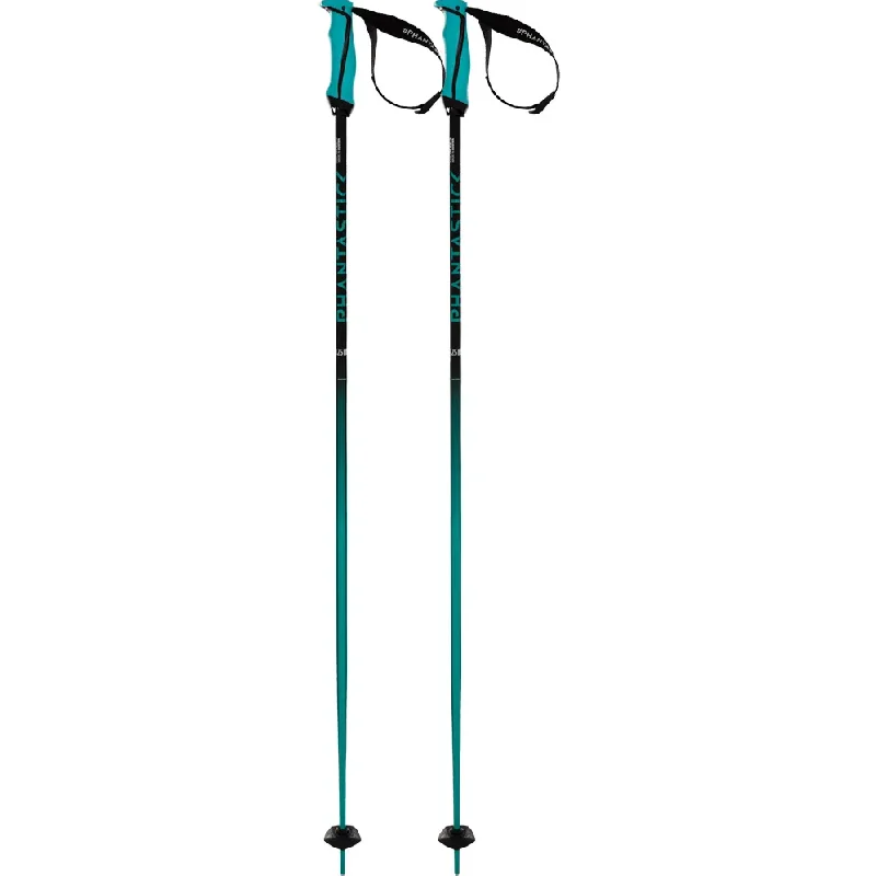 Volkl Phantastick Ski Poles 16mm