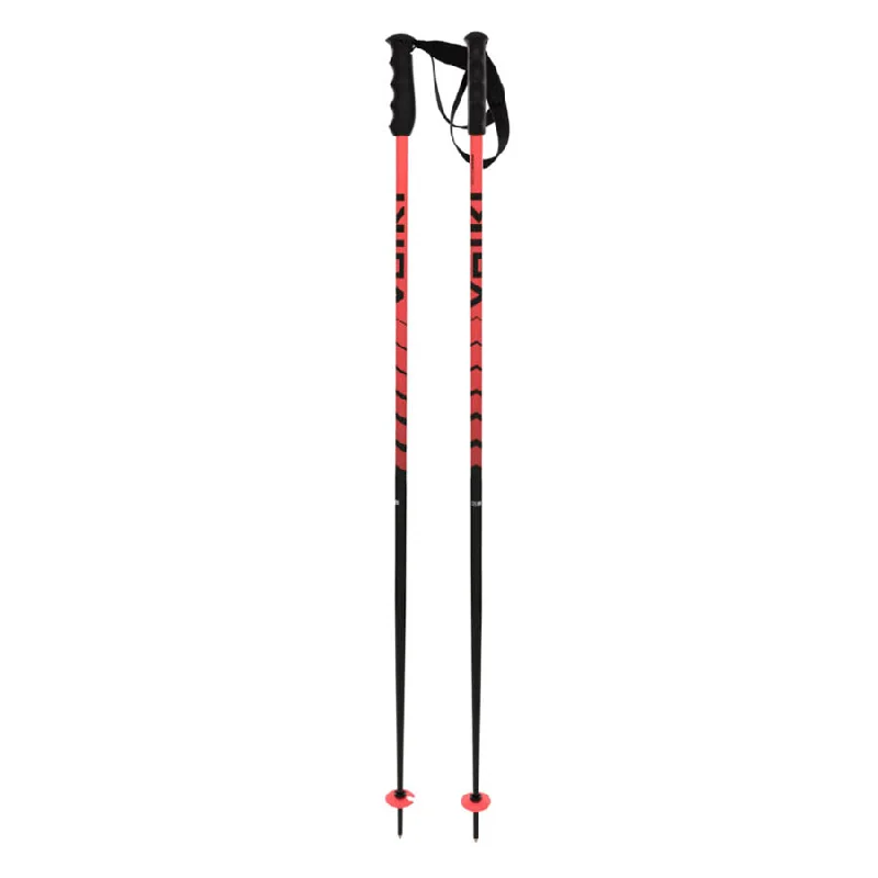 Volkl Speedstick Ski Poles 2025